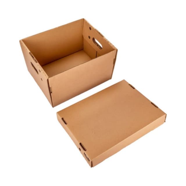 Cajas de archivo de cartón